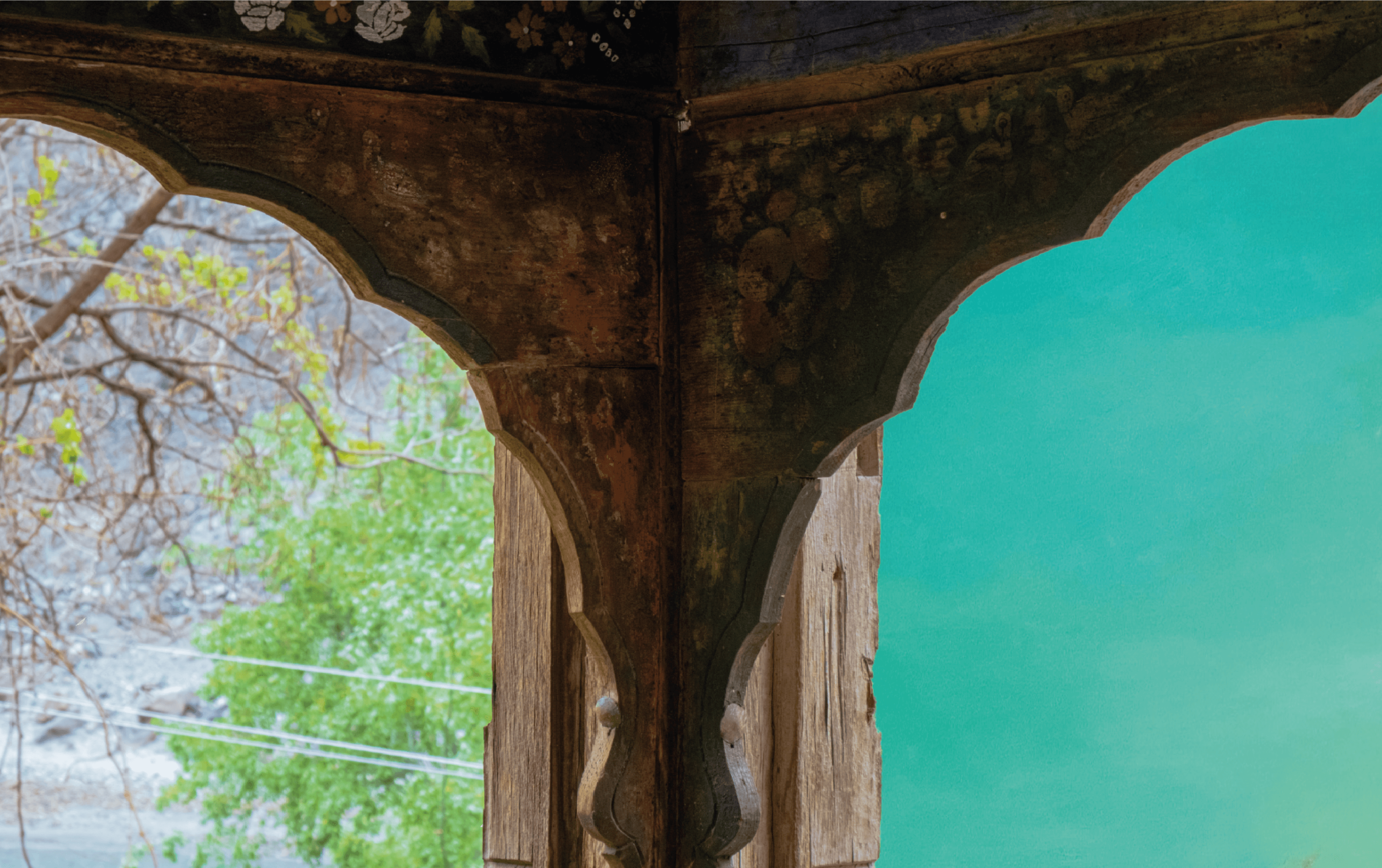 Conservation landscape